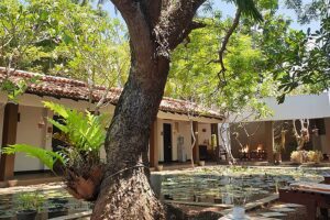 Ayurveda Yoga Retreat with Nea Ferrier in Beruwala, Sri Lanka