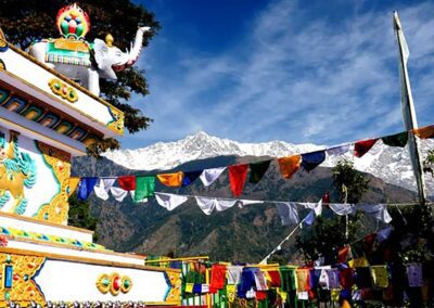 HIMALAYAN ASHTANGA YOGA RETREAT WITH NEA FERRIER- Mcleod Ganj