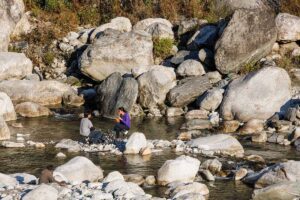 Himalayan Ashtanga Yoga Retreat with Nea Ferrier - Palampur, Himachal Pradesh, India