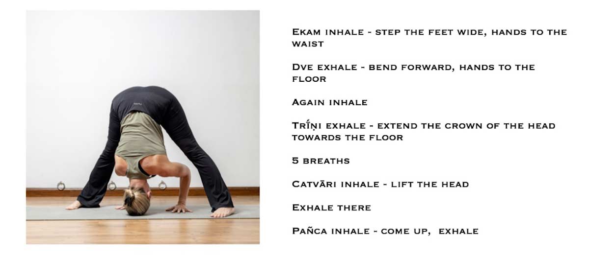 A-Prasārita-Pādottānāsana-1200px