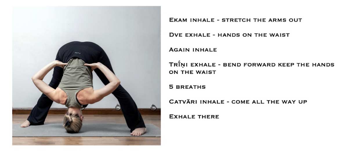 B-Prasārita-Pādottānāsana-1200px