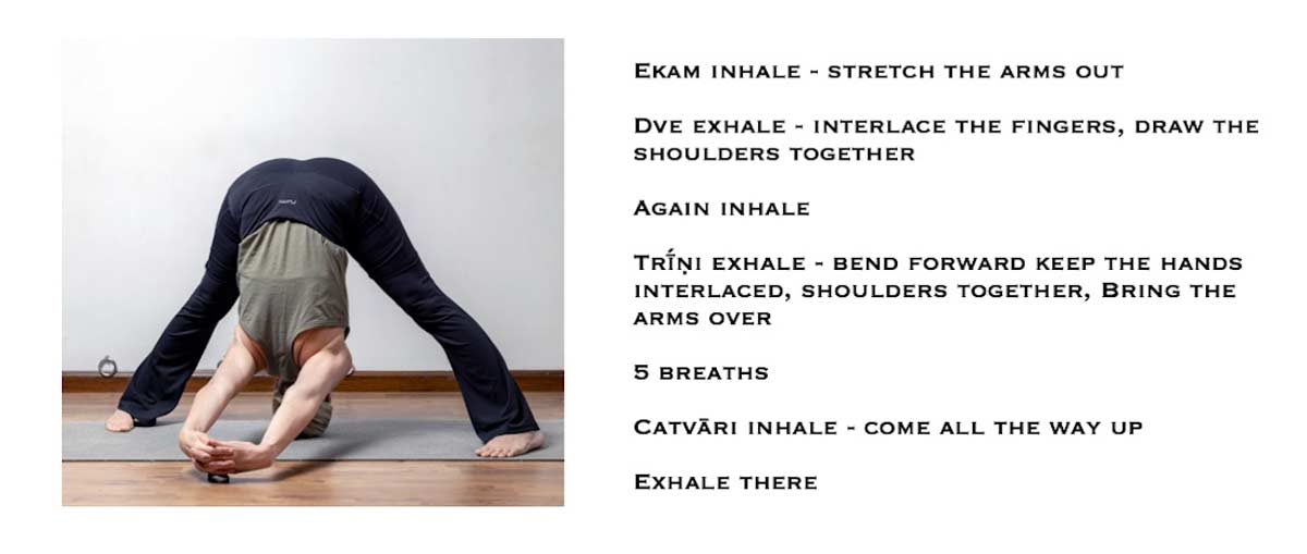 C-Prasārita-Pādottānāsana-1200px